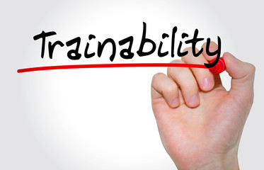 Aufkleber - Hand writing inscription Trainability with marker, concept
