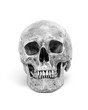© chokniti - Front view of human skull isolated on white background