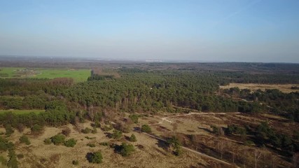 Wall Mural - Aerial: Flying over a pine forest with a big lake and meadow fields