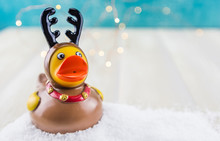 Rubber Duck Reindeer In Snow With Copy Space