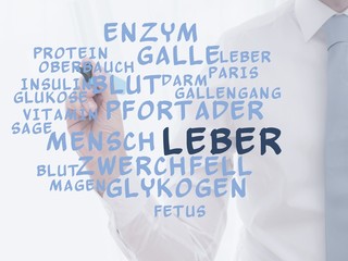 Wall Mural - Leber