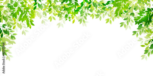新緑 葉 緑 背景 Stock Vector Adobe Stock 新緑 葉 緑 背景 Stock Vector Adobe Stock