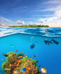 Divers below the water surface exploring sea life