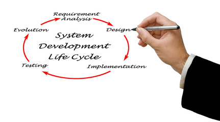 Wall Mural - System Development Life Cycle (SDLC)