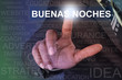 © flowgics - Businessman touching buenas noches button on virtual screen