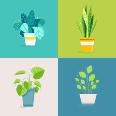 Fototapete - Vector set of illustrations  - green plants in pots