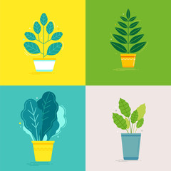 Aufkleber - Vector set of illustrations - green plants in pots