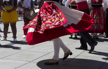 Wall Mural - Traditional portuguese dancers