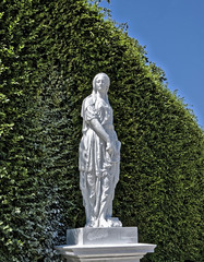 Greek statue in a park on a background of a hedge