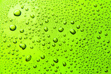 Wall Mural - Drops of water on a color background. Green