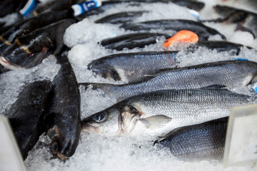 Fresh Sea fish bream