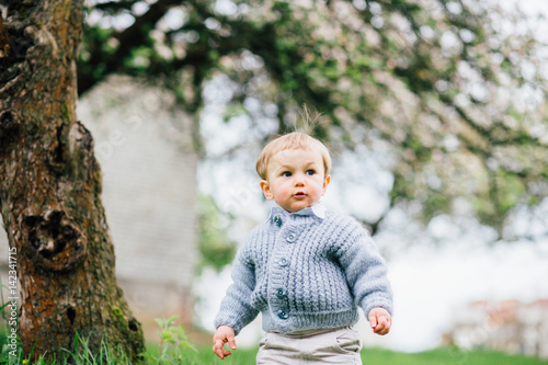 Cute Toddler Boy With Blue Eyes And Blonde Hair Walking In Spring