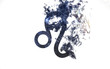 Zodiac sign - Leo. Dust of the universe, minimalistic art. Elements of this image furnished by NASA