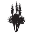 Silhouette of the blossoming yucca plant