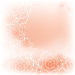 Wall Mural - Beautiful orange rose flower background