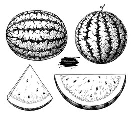 Wall Mural - Watermelon and slice vector drawing set. Isolated hand drawn berry on white background. Summer fruit engraved style