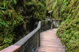 Fototapeta Pomosty - Footbridge in Kakueta Canyon, Aquitaine, France
