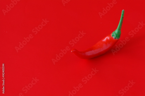 fresh chili pepper on plain red background buy this stock plain red background