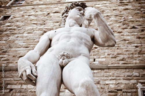Zdjęcie XXL Posąg Dawida autorstwa Michała Anioła na Piazza della Signoria we Florenc