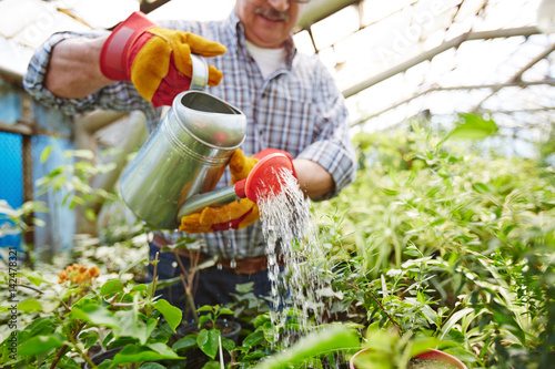 Closeup Portrait Of Senior Man Taking Care Trees And Shrubs In Closeup Portrait Of Senior Man Taking Care Trees And Shrubs In