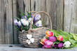 Weidenkorb mit Krokusse und Tulpen im Frühling vor Holzhintergrund