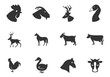 Livestock icons set
