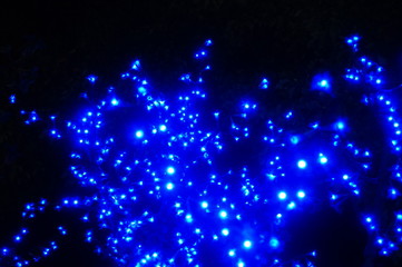 blue neon lights in the night, very beautiful landscape.