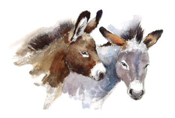 Watercolor Farm Animals Donkeys Couple Hand Drawn Illustration isolated on white background