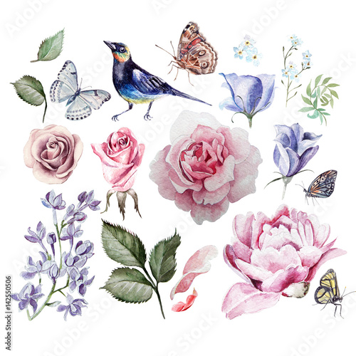 akwarela-z-kwiatami-rozy-bzu-eukaliptusa-piwonii-i-forget-me-motyle-i-ptak