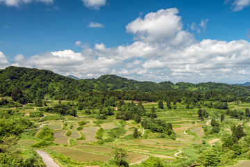 新潟県十日町市　星峠棚田の朝日