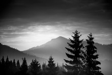 A Beautiful, Abstract Monochrome Mountain Landscape With Trees. Decorative, Artistic Look In Black And White Style.