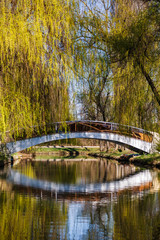  bridge across the lake in spring park