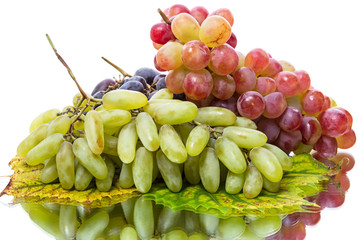 Wall Mural - Three varieties of grapes on leaf