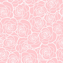 Vector Seamless Pattern With White Roses Contours On Pink.