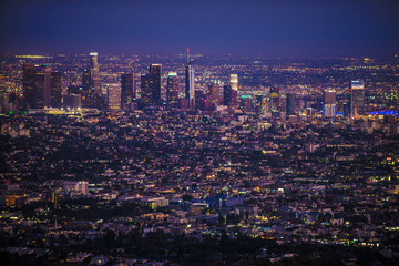 Wall Mural - Los Angeles cityscape