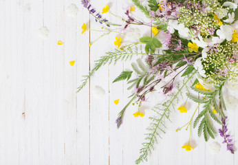 plant on white wooden background