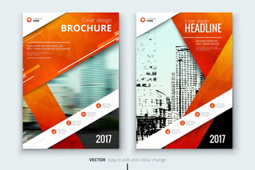 Wall Mural - corporate business annual report cover, brochure or flyer design