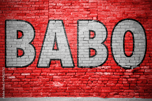 Babo Ziegelsteinmauer Graffiti Canvas Print