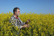 © sima - Agronomist or farmer examine blooming canola field, rapeseed plant