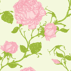 Wall Mural - English roses seamless