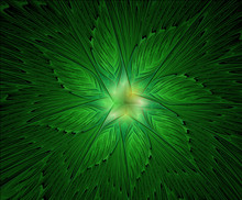 Abstract Beautiful Fractal Green Flower On A Black Background