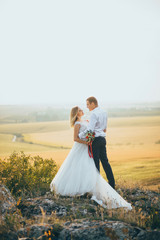 Wall Mural - stylish gorgeous couple newlyweds standing on the rocks in the mountains