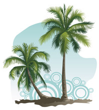 Vector Illustrations Of Two Palm Tree