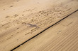 wood damaged by woodworm