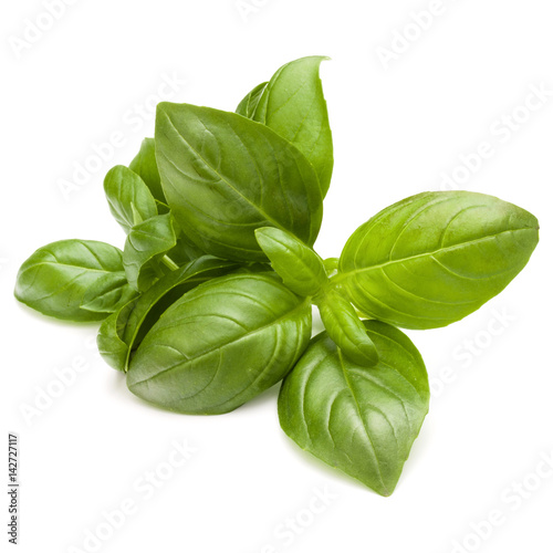 Fotografie, Obraz Sweet basil herb leaves bunch isolated on white background
