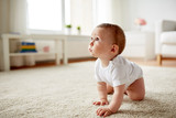 Fototapeta  - little baby in diaper crawling on floor at home