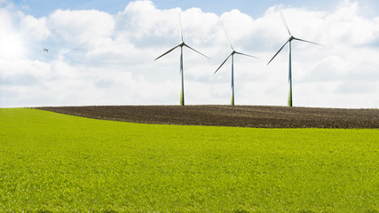 Wall Mural - wind turbines in landscape