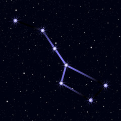 Wall Mural - Ursa Major