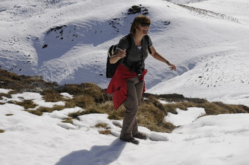 Wall Mural - Faru beim Wandern