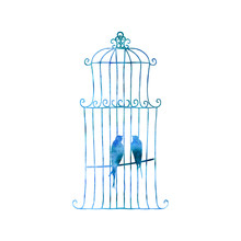Two Swallows In A Cage